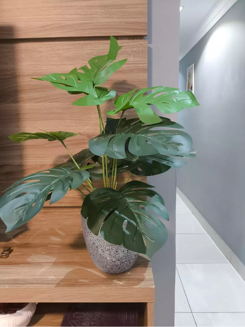 Imagem Segundaria do Produto